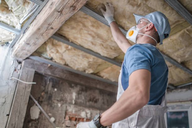 Best Types of Insulation in Ardmore, AL